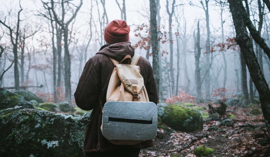 The Daily Fight Against Assumptions: Uncovering Your Path to Productivity